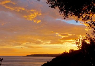 Ausbildungen in Kooperation mit dem Hezong-Institut / Trainings in cooperation with the Hezong Institute in China